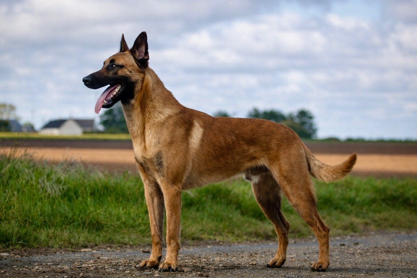 Urban-Legend Vom Mond Schwarz